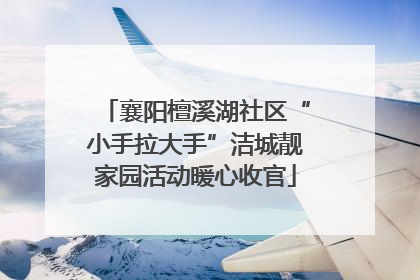 襄阳檀溪湖社区“小手拉大手”洁城靓家园活动暖心收官